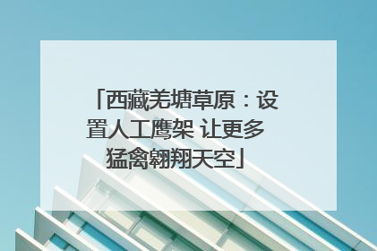 西藏羌塘草原：设置人工鹰架 让更多猛禽翱翔天空