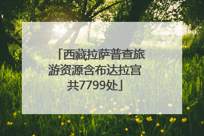 西藏拉萨普查旅游资源含布达拉宫共7799处