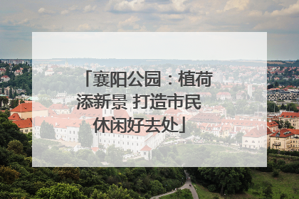 襄阳公园：植荷添新景 打造市民休闲好去处