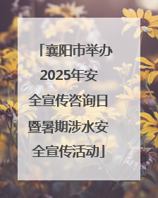 襄阳市举办2025年安全宣传咨询日暨暑期涉水安全宣传活动