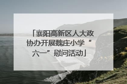 襄阳高新区人大政协办开展魏庄小学“六一”慰问活动