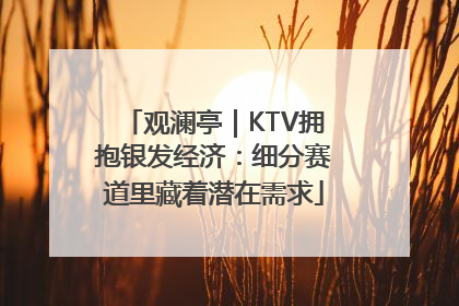 观澜亭｜KTV拥抱银发经济：细分赛道里藏着潜在需求