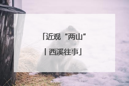 近观“两山”丨西溪往事