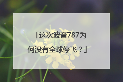 这次波音787为何没有全球停飞？