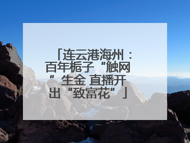 连云港海州：百年栀子“触网”生金 直播开出“致富花”