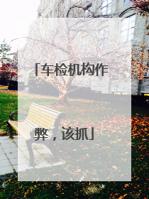 车检机构作弊，该抓