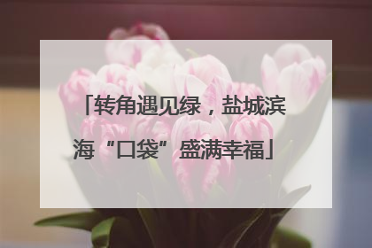 转角遇见绿，盐城滨海“口袋”盛满幸福