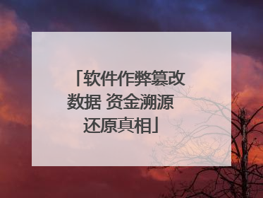 软件作弊篡改数据 资金溯源还原真相