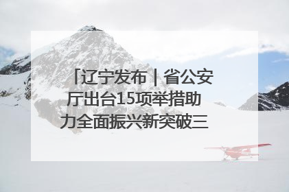 辽宁发布｜省公安厅出台15项举措助力全面振兴新突破三年行动决胜之战