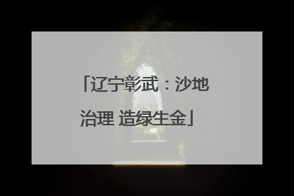 辽宁彰武：沙地治理 造绿生金