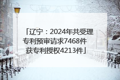 辽宁：2024年共受理专利预审请求7468件 获专利授权4213件