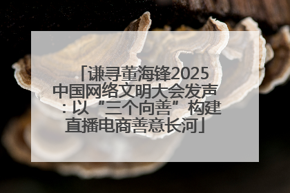 谦寻董海锋2025中国网络文明大会发声：以“三个向善”构建直播电商善意长河