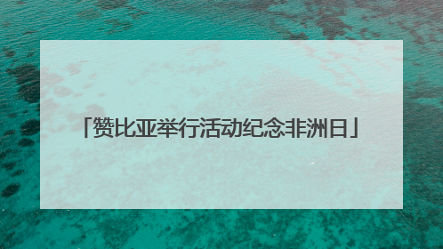 赞比亚举行活动纪念非洲日