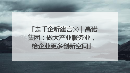 走千企听建言③｜高诺集团：做大产业服务业，给企业更多创新空间