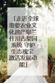 走近全球重要农业文化遗产皋兰什川古梨园系统 守护生态瑰宝 激活发展动能