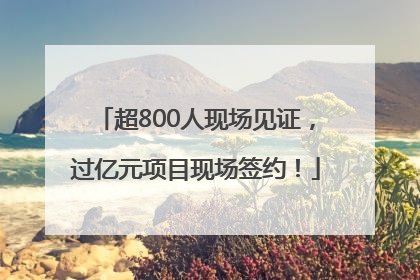 超800人现场见证，过亿元项目现场签约！
