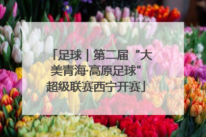 足球｜第二届“大美青海·高原足球”超级联赛西宁开赛