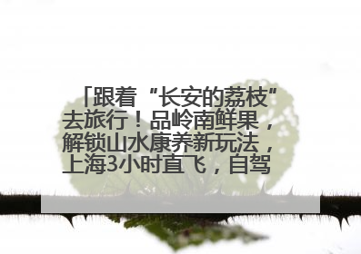 跟着“长安的荔枝”去旅行！品岭南鲜果，解锁山水康养新玩法，上海3小时直飞，自驾高速费优惠