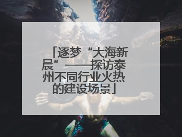 逐梦“大海新晨”——探访泰州不同行业火热的建设场景