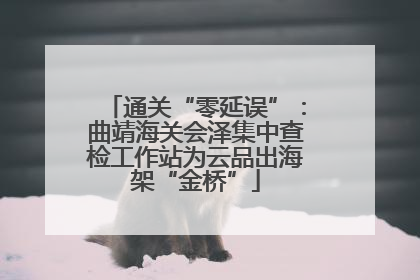 通关“零延误”：曲靖海关会泽集中查检工作站为云品出海架“金桥”