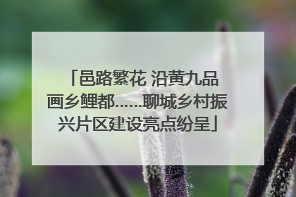 邑路繁花 沿黄九品 画乡鲤都……聊城乡村振兴片区建设亮点纷呈