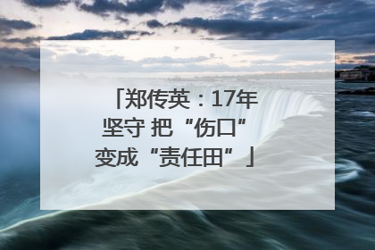 郑传英：17年坚守 把“伤口”变成“责任田”