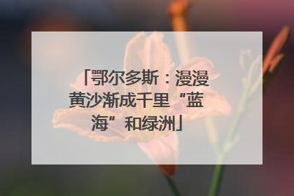 鄂尔多斯：漫漫黄沙渐成千里“蓝海”和绿洲