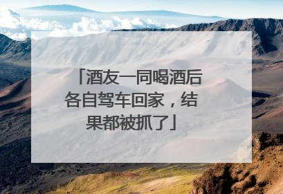 酒友一同喝酒后各自驾车回家，结果都被抓了