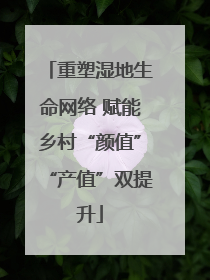 重塑湿地生命网络 赋能乡村“颜值”“产值”双提升