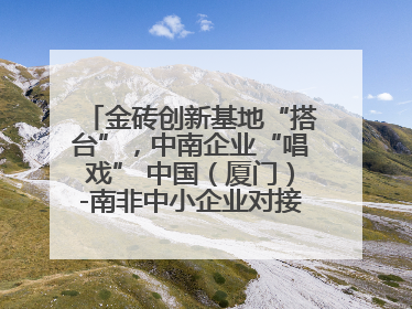 金砖创新基地“搭台”，中南企业“唱戏” 中国（厦门）-南非中小企业对接会在厦举办