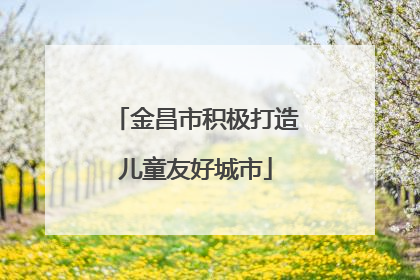 金昌市积极打造儿童友好城市