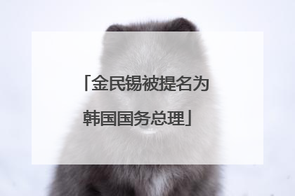 金民锡被提名为韩国国务总理