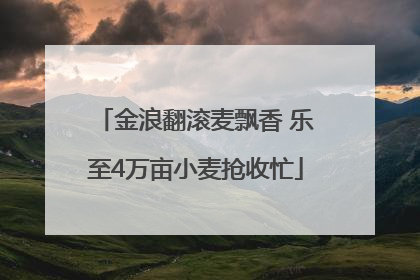 金浪翻滚麦飘香 乐至4万亩小麦抢收忙