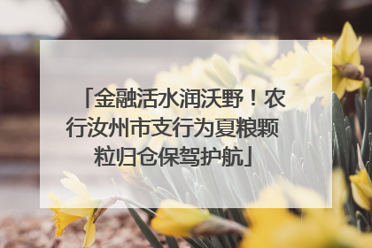金融活水润沃野！农行汝州市支行为夏粮颗粒归仓保驾护航