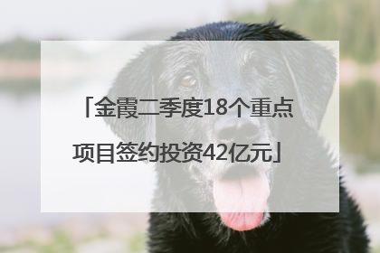 金霞二季度18个重点项目签约投资42亿元