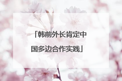 韩前外长肯定中国多边合作实践