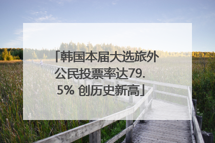 韩国本届大选旅外公民投票率达79.5% 创历史新高
