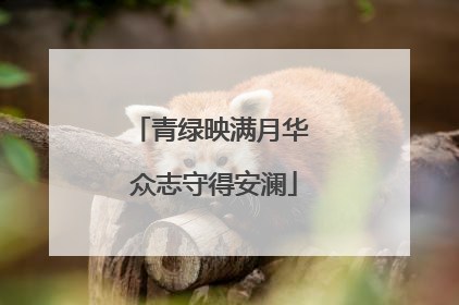 青绿映满月华 众志守得安澜