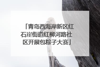 青岛西海岸新区红石崖街道红柳河路社区开展包粽子大赛