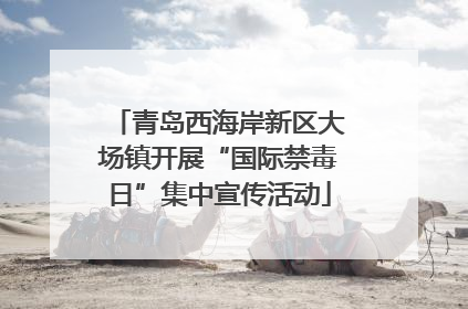 青岛西海岸新区大场镇开展“国际禁毒日”集中宣传活动