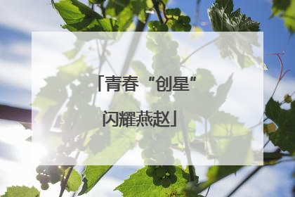 青春“创星” 闪耀燕赵