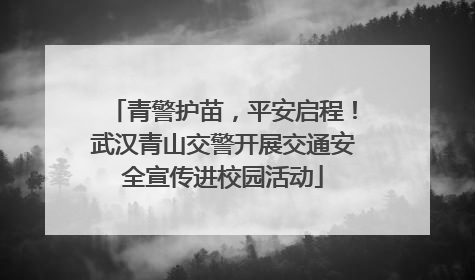 青警护苗，平安启程！武汉青山交警开展交通安全宣传进校园活动