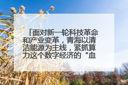 面对新一轮科技革命和产业变革，青海以清洁能源为主线，紧抓算力这个数字经济的“血液”、科技主权的“筹码”、产业升级的“杠杆”、绿色转型的“支点”，勇于撬动国家“双碳”战略、“东数西算”工程重大发展新机遇