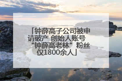钟薛高子公司被申请破产 创始人账号“钟薛高老林”粉丝仅1800余人