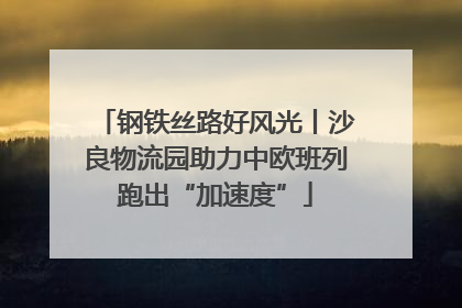 钢铁丝路好风光丨沙良物流园助力中欧班列跑出“加速度”