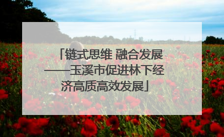 链式思维 融合发展——玉溪市促进林下经济高质高效发展