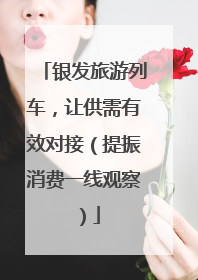 银发旅游列车，让供需有效对接（提振消费一线观察）