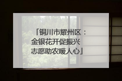铜川市耀州区：金银花开促振兴 志愿助农暖人心