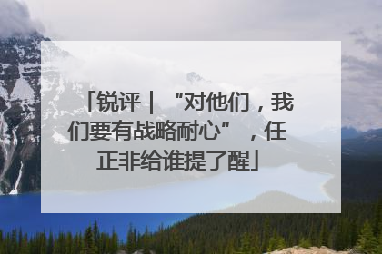 锐评｜“对他们，我们要有战略耐心”，任正非给谁提了醒