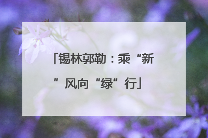 锡林郭勒：乘“新”风向“绿”行